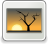 [thumbnail of BRW30C9AB63A699_019815.jpg]